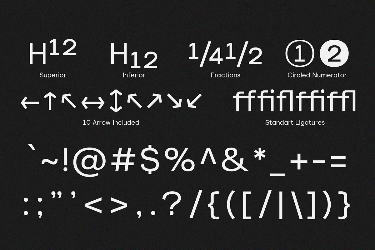 Akmorn Grotesque | Intro 60% OFF, a Sans Serif Font by Lettertype Studio (Photo 11 of 15)