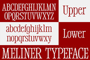 Meliner, a Serif Font by Dora Typefoundry (Thumbnail 3 of 12)