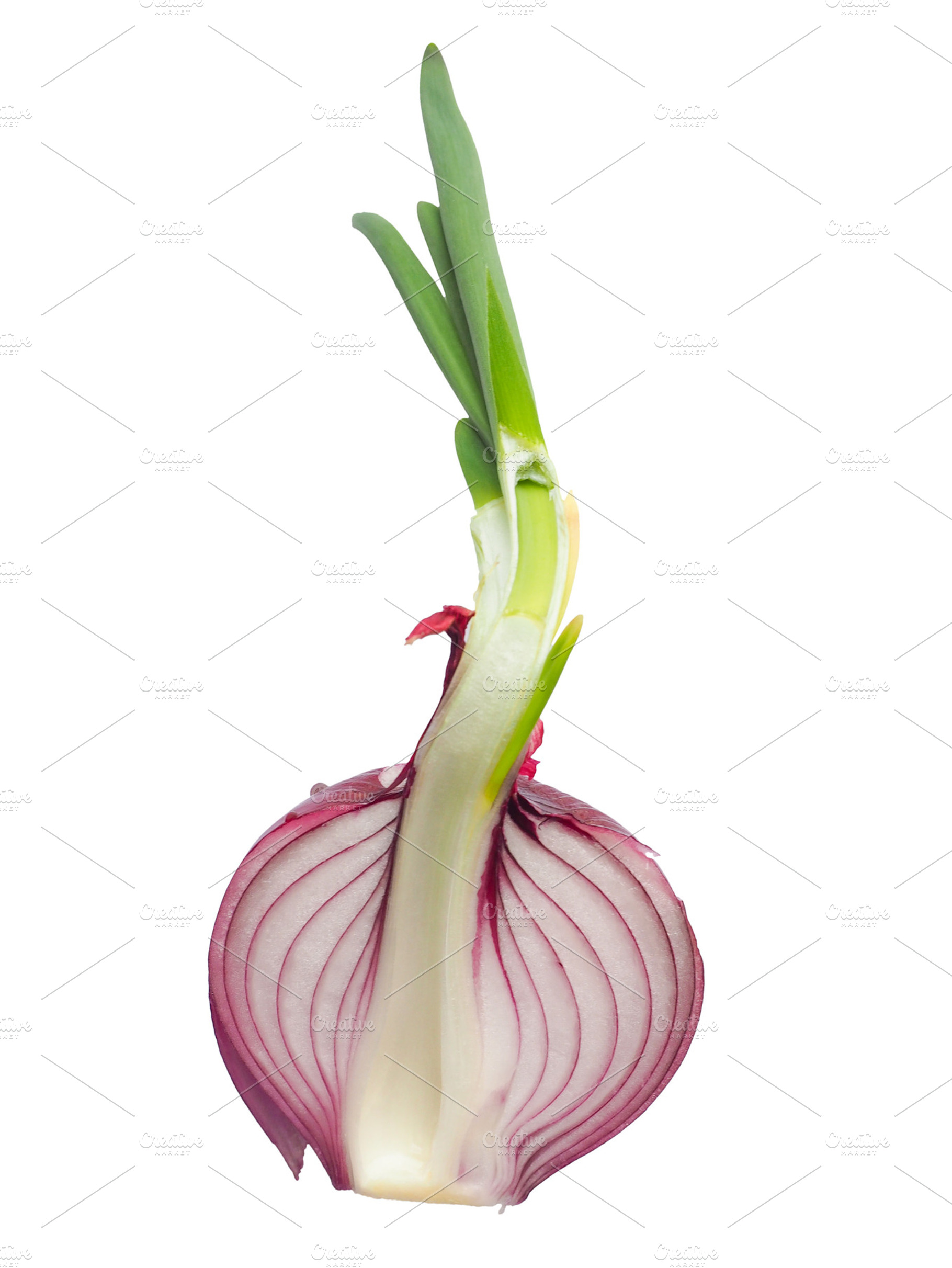 Red onion containing red, onion, and onions, a Food & Drink Photo by WorldOfPhotos