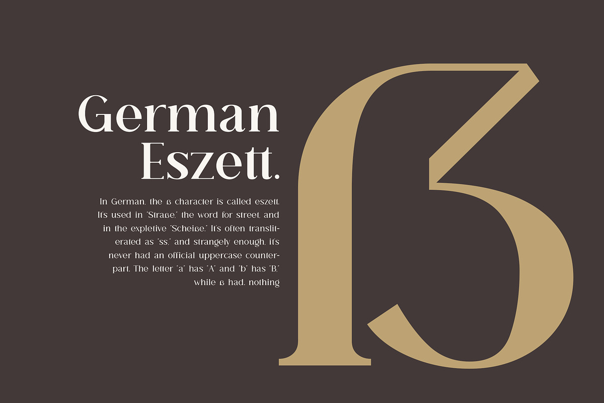 Breadley Serif, a Serif Font by Ardyanatypes (Photo 9 of 12)