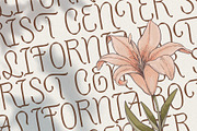 Sharon Elany, a Sans Serif Font by Get Studio (Thumbnail 5 of 27)