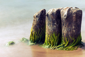 Old mossy groines in the sea, a Nature Photo by BOOCYS