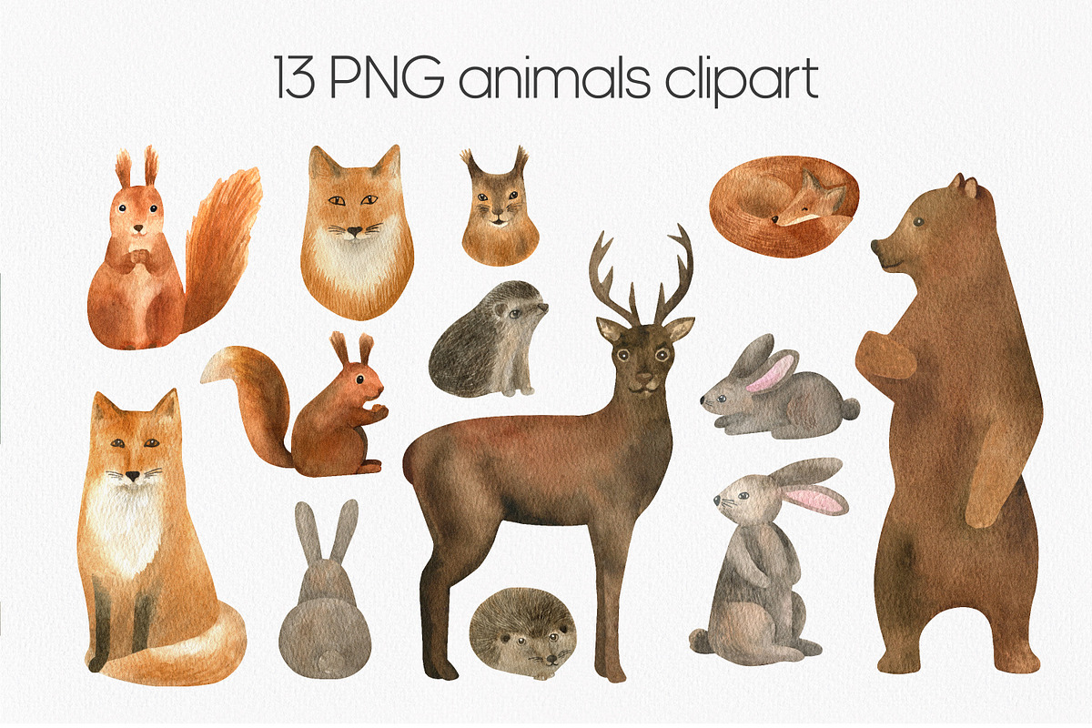 Cute watercolor forest animals, an Animal Illustration by Anntre (Photo 2 of 4)