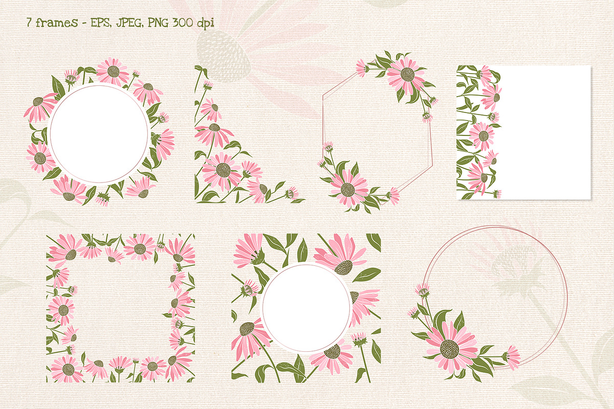 Coneflower Bloom Vector Clipart, an Illustration by Hanna's ArtLab (Photo 2 of 9)