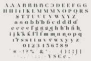 NY Glamour Authentic, a Serif Font by NYDESIGN (Thumbnail 7 of 10)