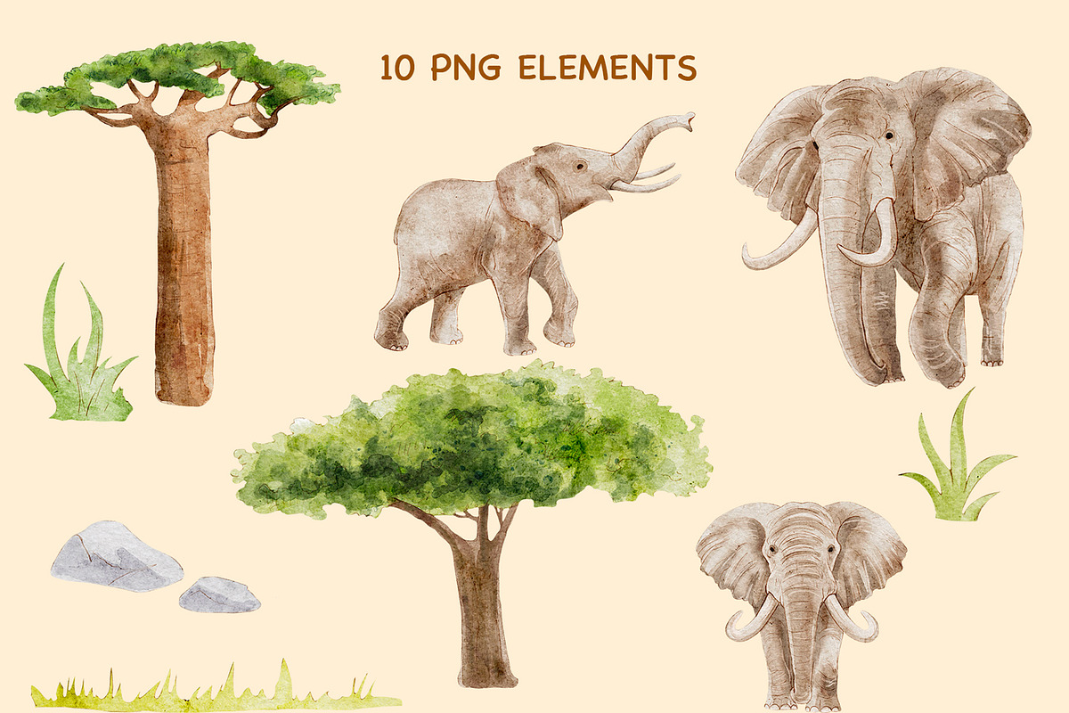Elephant Safari Watercolor set, an Animal Illustration by KlymchukArtworks (Photo 6 of 8)