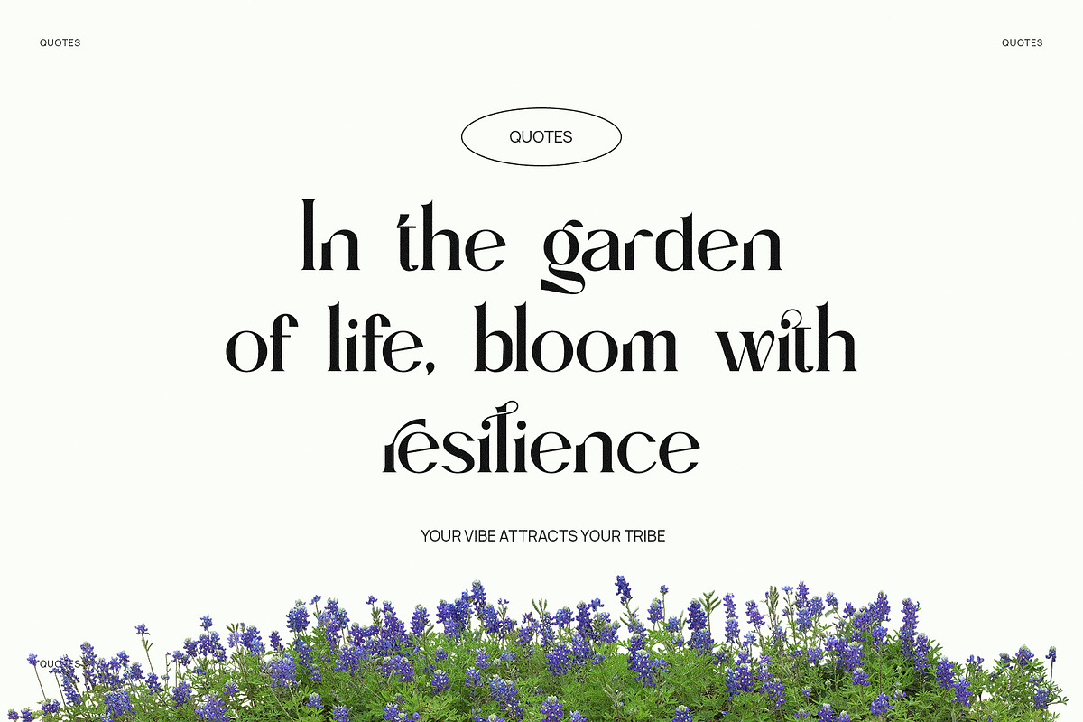 Migroska Elegant Ligature Serif Font, a Serif Font by Perfectype (Photo 2 of 6)