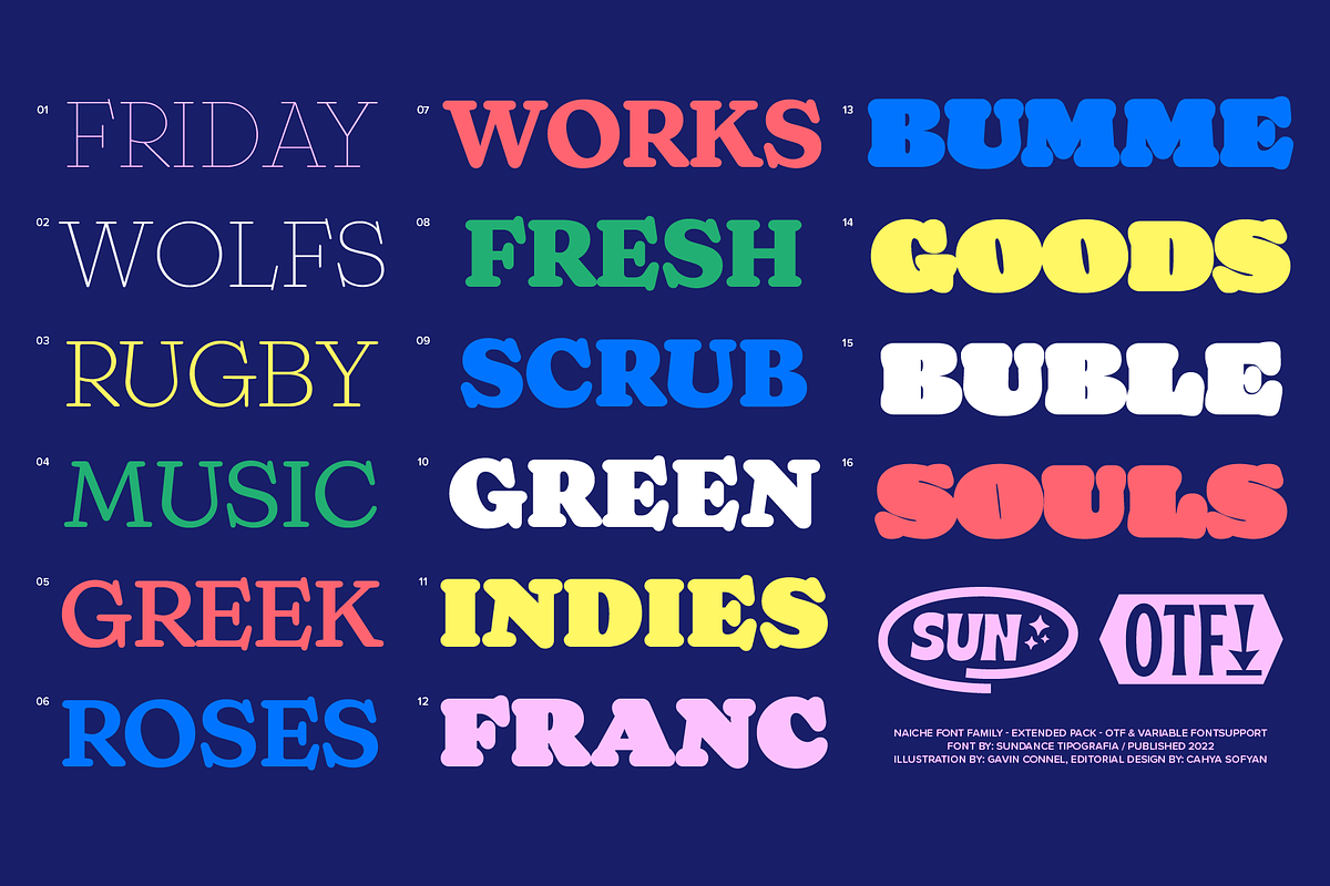 65% OFF Naiche Font Family, a Serif Font by Sundance Tipografia (Photo 4 of 15)