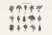 Vintage Tree Vector Bundle Vol. 1, an Object Illustration by Seaquint (Thumbnail 2 of 5)