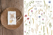 Watercolor Wheat & Field Flora, a Decorative Illustration by MayaNavits (Thumbnail 10 of 13)