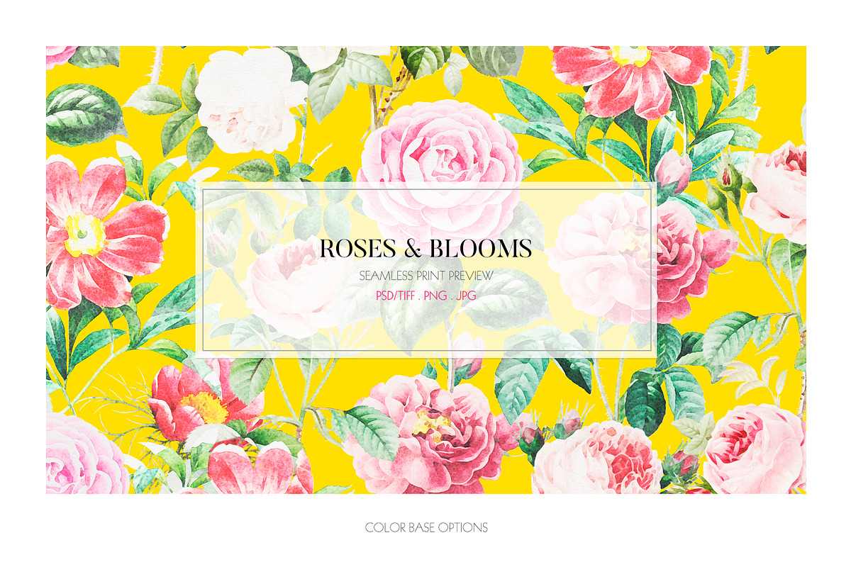 Roses & Blooms, a Pattern Graphic by TSTUDIO (Photo 7 of 9)