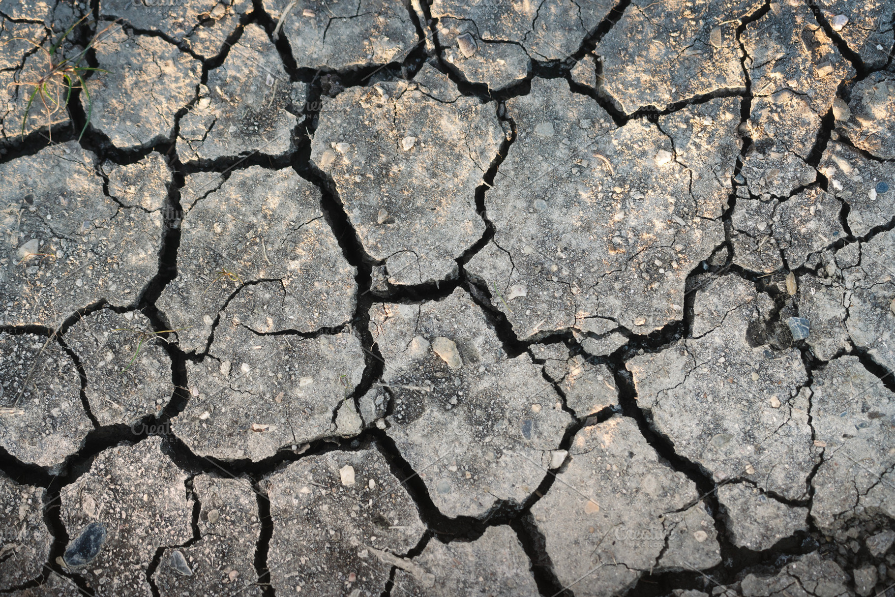 Cracked soil from drought, a Nature Photo by Stefano Orazzini