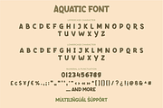 Aquatic, a Sans Serif Font by twinstd (Thumbnail 4 of 11)