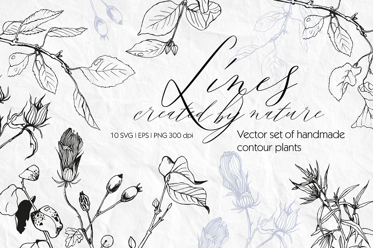 Set of linear plants vector and svg, an Illustration by RushkinaAntonina (Photo 1 of 4)