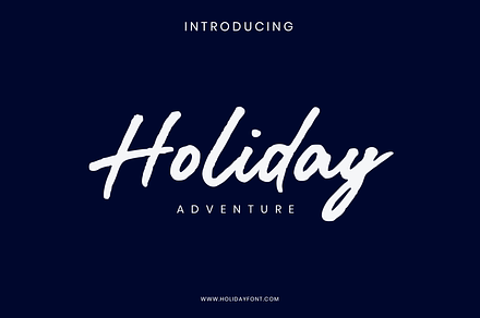 Holiday Adventure