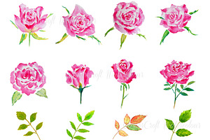 Watercolor Pink Roses and Leaves, a Templates & Theme by Corner Croft