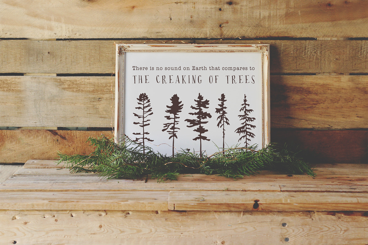 Northern Wilderness Collection: Tree, an Illustration by Barn Owl Studio (Photo 5 of 6)