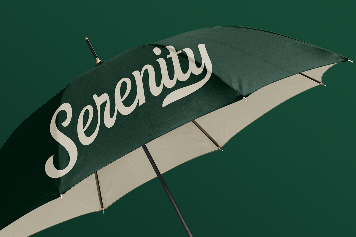 Taldose - Font Duo, a Script Font by Get Studio (Photo 12 of 20)