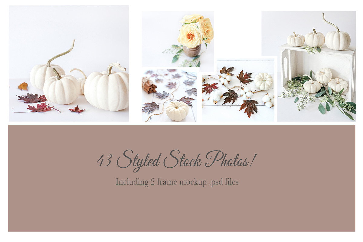 Fall Color Bundle Stock Photos, a Background Photo by SunnyTangerine Stock (Photo 9 of 10)