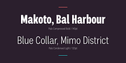 Palo, a Sans Serif Font by TypeUnion (Thumbnail 17 of 17)