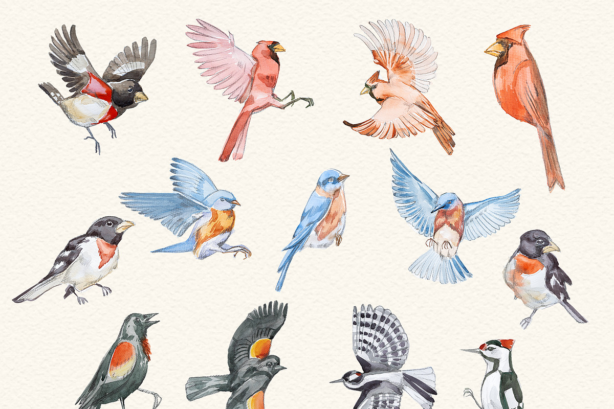 Watercolor Birdhouse Clipart Set, a Seasonal Illustration by ArtCreationsDesign (Photo 8 of 12)