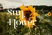 Brista - Elegant Serif Font, a Serif Font by suhadidesign (Thumbnail 5 of 10)