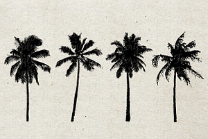 Coconut Tree Silhouette, an Illustration by Simply Factory