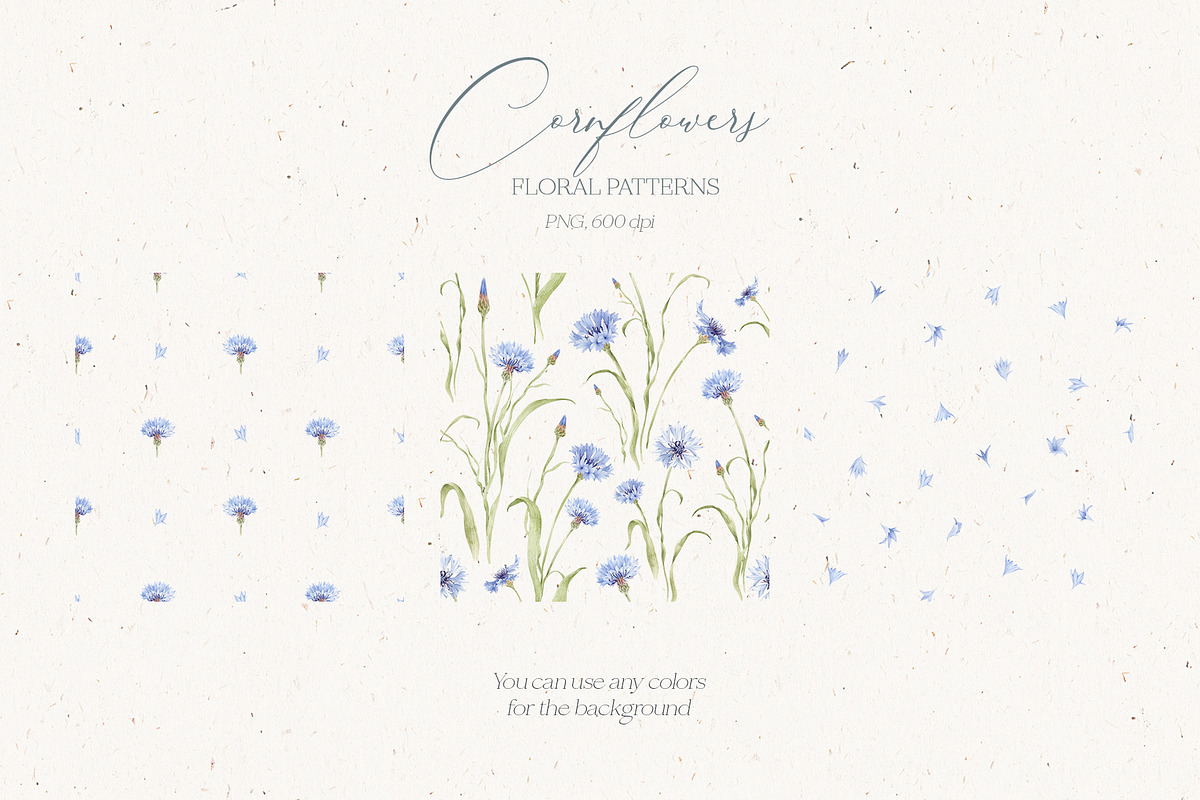 Watercolor Cornflowers, an Illustration by Nastya.Chay (Photo 6 of 10)