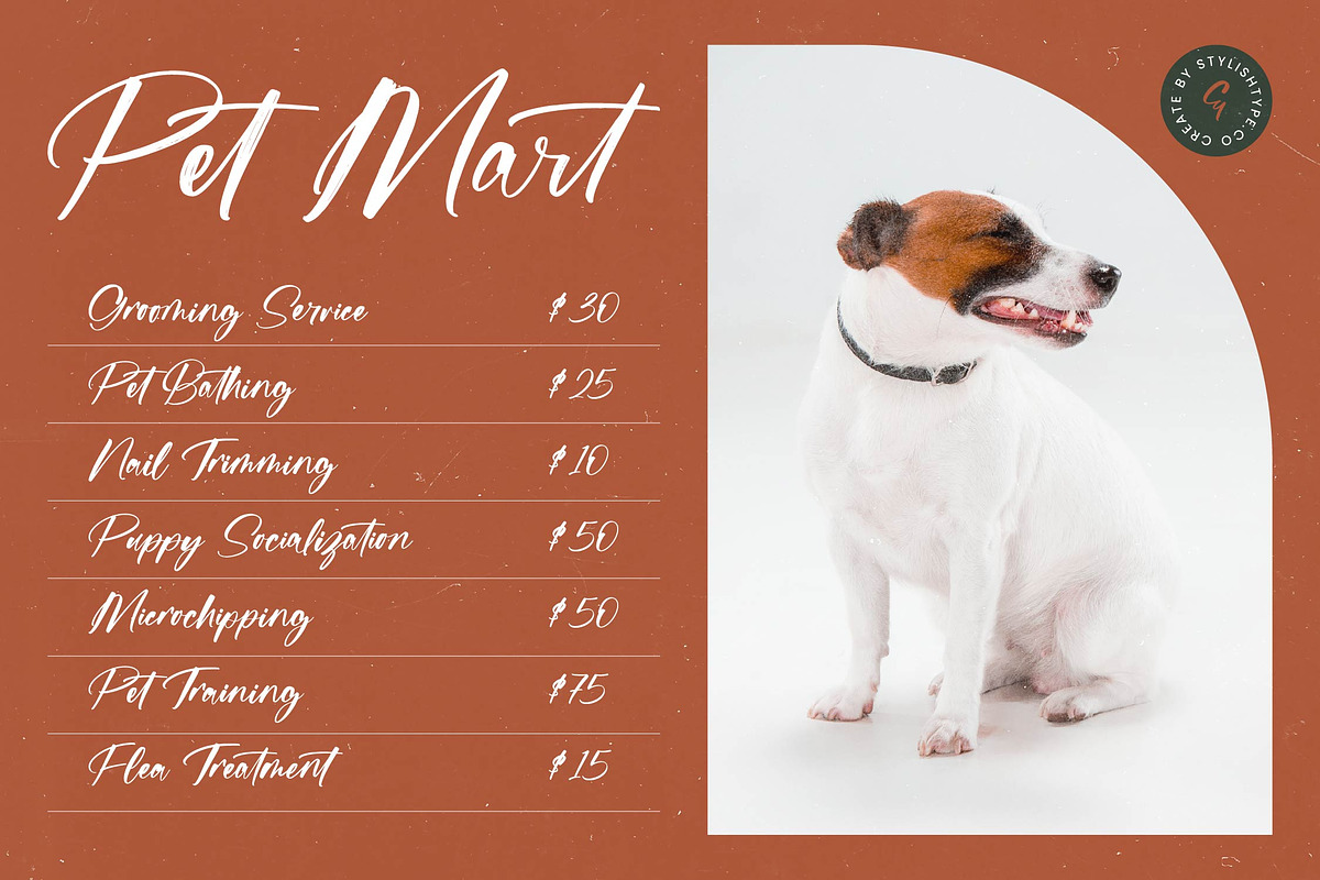 Flusteria Routine Modern Brush Font, a Script Font by stylishtype.co (Photo 6 of 20)