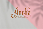 Roller Coaster Serif (Bonus), a Serif Font by Anxiety Studio (Thumbnail 9 of 19)
