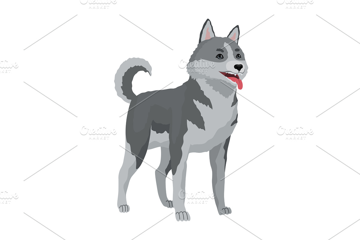 Cute gray wolf pose. Cartoon, an Animal Illustration by the8monkey