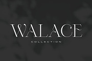 Valery Display Serif Font, a Serif Font by Letteralle Studios (Thumbnail 4 of 10)