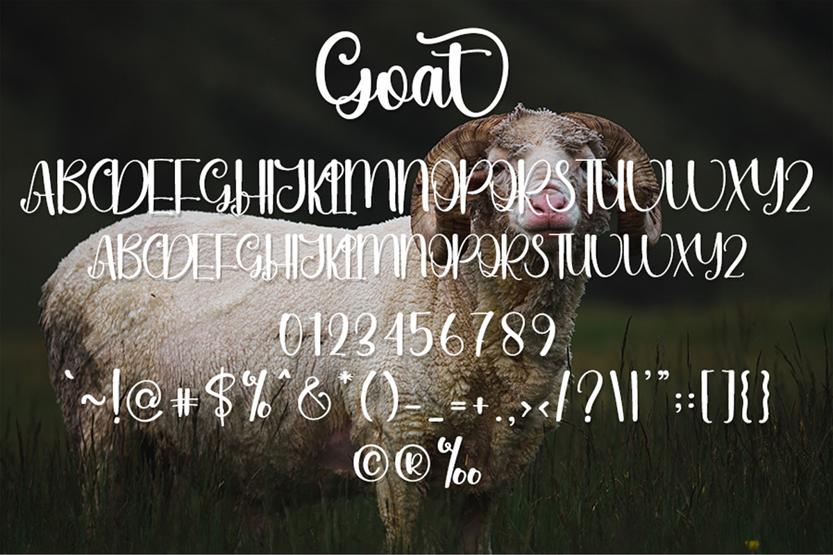 Goat - Script Font, a Script Font by InermediaSTUDIO (Photo 6 of 6)