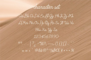 Milena Monoline Script, a Script Font by PeanutButter Type (Thumbnail 4 of 7)