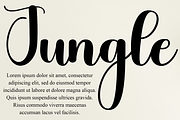 Christian, a Handwritten Font by InermediaSTUDIO (Thumbnail 3 of 8)