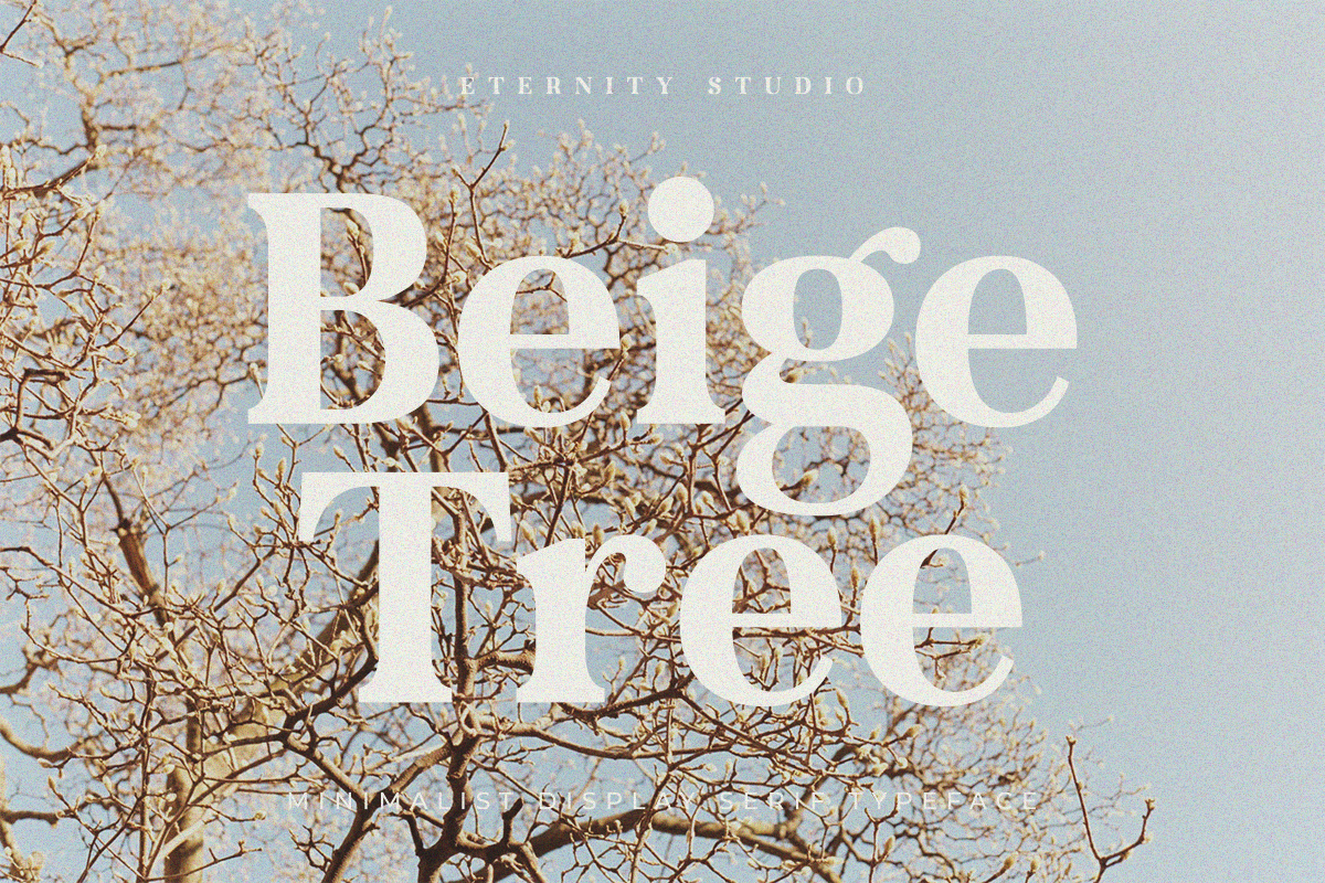 ET Emilia Grace, a Serif Font by Eternity Studio (Photo 4 of 10)