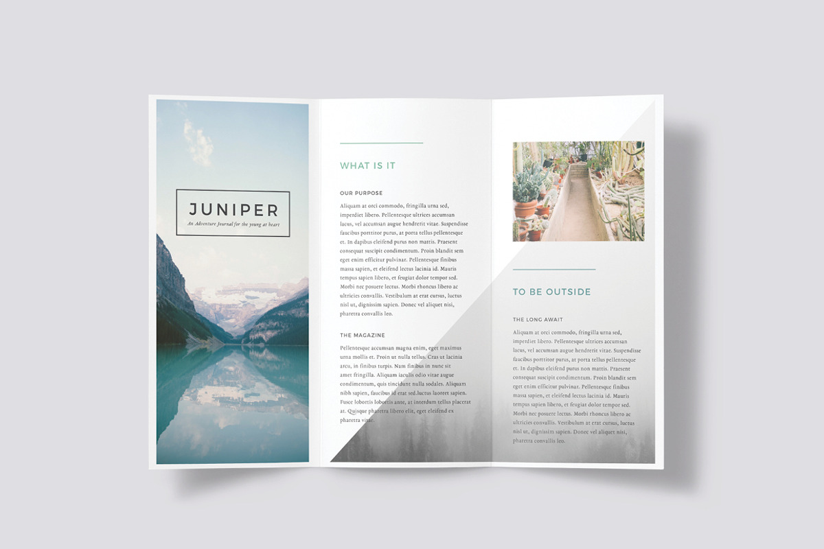 J U N I P E R  Branding Bundle!, a Packaging Mockup by 46&2 Collective (Photo 8 of 21)