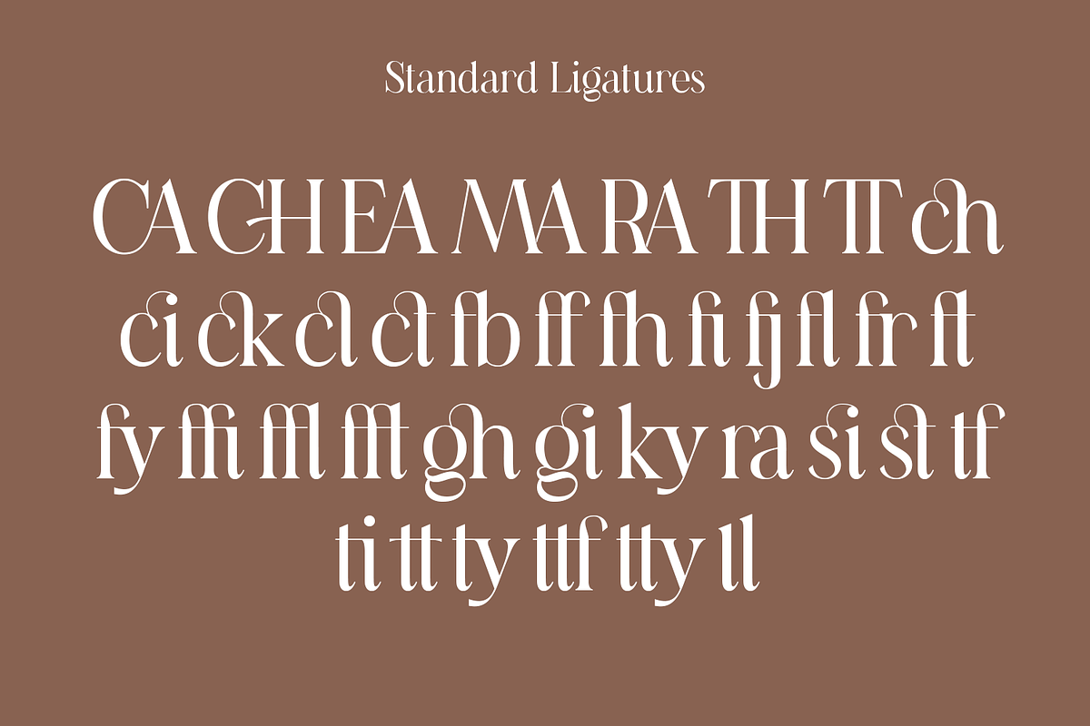 Casanova Elegant Serif Display, a Serif Font by Typetemp Studio (Photo 28 of 30)