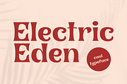 Electric Eden - Nostalgic Font, a Serif Font by HipFonts (Thumbnail 1 of 10)