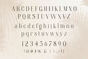 Balinda - Elegant Modern Serif Font, a Serif Font by Typeformers (Thumbnail 5 of 5)