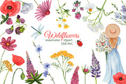 Summer Watercolor Wild Flowers, a Seasonal Illustration by s.yanyeva (Thumbnail 1 of 11)