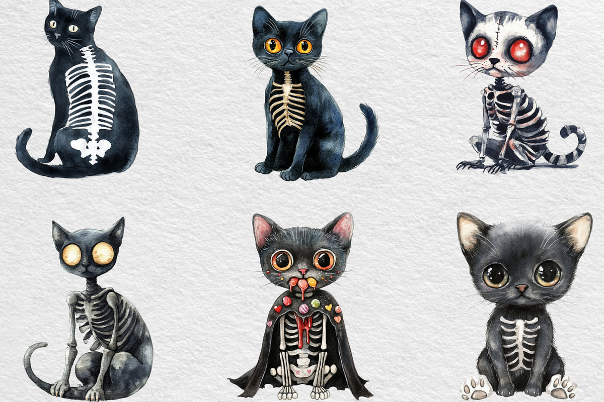 Skeleton Black Cat Clipart, an Illustration by Black Bird Studio (Photo 5 of 6)