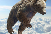 116 Flying animals, an Animal Photo by Handmadefont (Thumbnail 14 of 119)