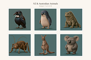 NZ & Australian Animals, Set 20, an Animal Illustration by LanternkinStudio (Thumbnail 6 of 12)