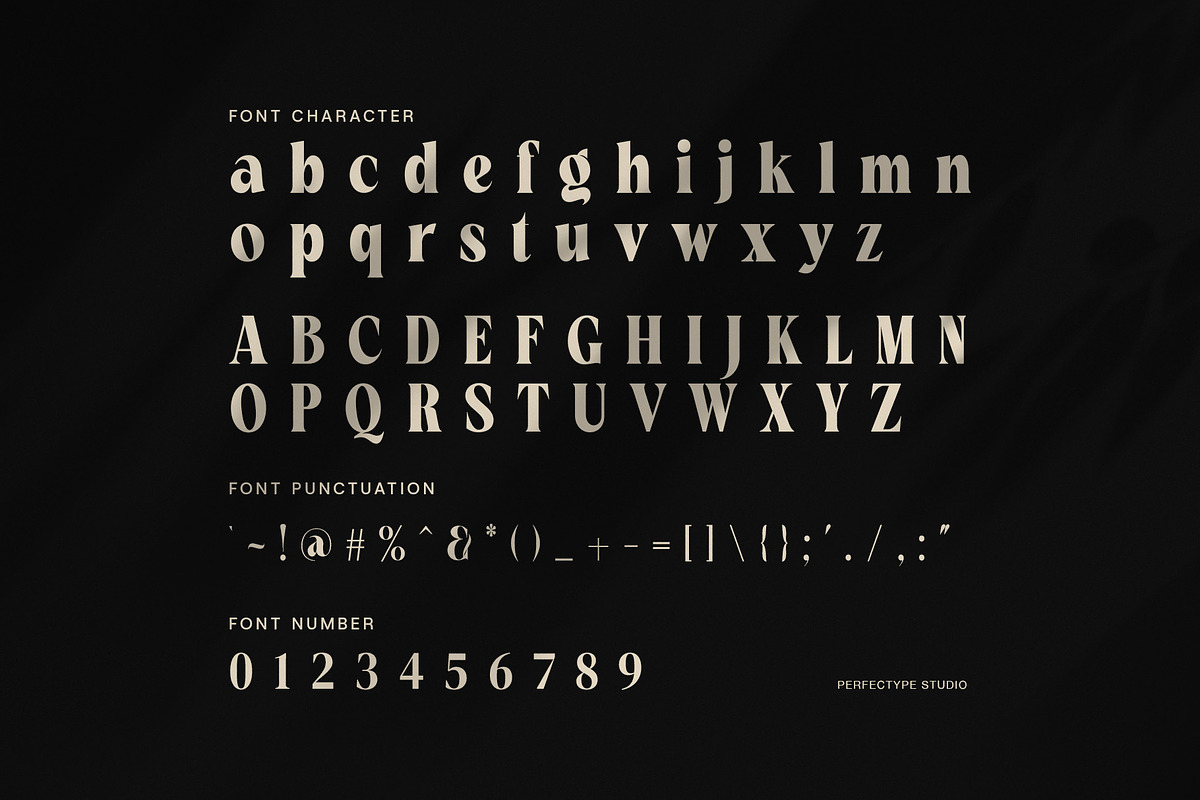 Cyfing Modern Elegant Serif Font, a Serif Font by Perfectype (Photo 7 of 8)