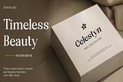 Randion, a Serif Font by StudioRhd (Thumbnail 5 of 14)