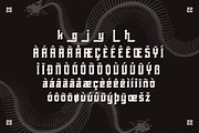 Rolling Bones Display Typeface Font, a Sans Serif Font by Storytype Studio (Thumbnail 14 of 15)