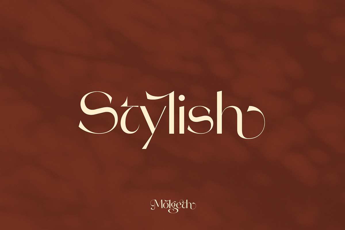 Molgeth - Aesthetic Sans Serif, a Sans Serif Font by Variatype (Photo 9 of 15)