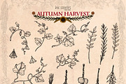 Autumn Harvest, a Seasonal Illustration by Ink Stories (Thumbnail 8 of 26)