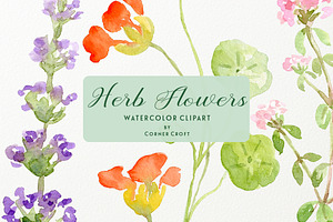 Watercolor Herb Flower Clipart